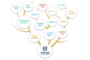中經(jīng)方略以 1 1 2推拉式戰(zhàn)略模型 創(chuàng)新咨詢服務